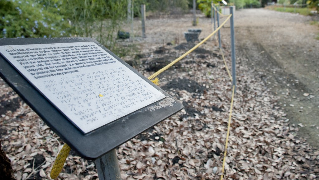 Rosenblatt_Braile_web