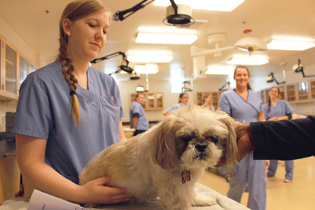 Veterinary student Ayla Aguilar (left) holds a very nervous Dior as they wait for her vaccine in the Veterinary Technology building of Pierce College in Woodland Hills, Calif., Saturday, March 29, 2014. Photo: Nicolas Heredia