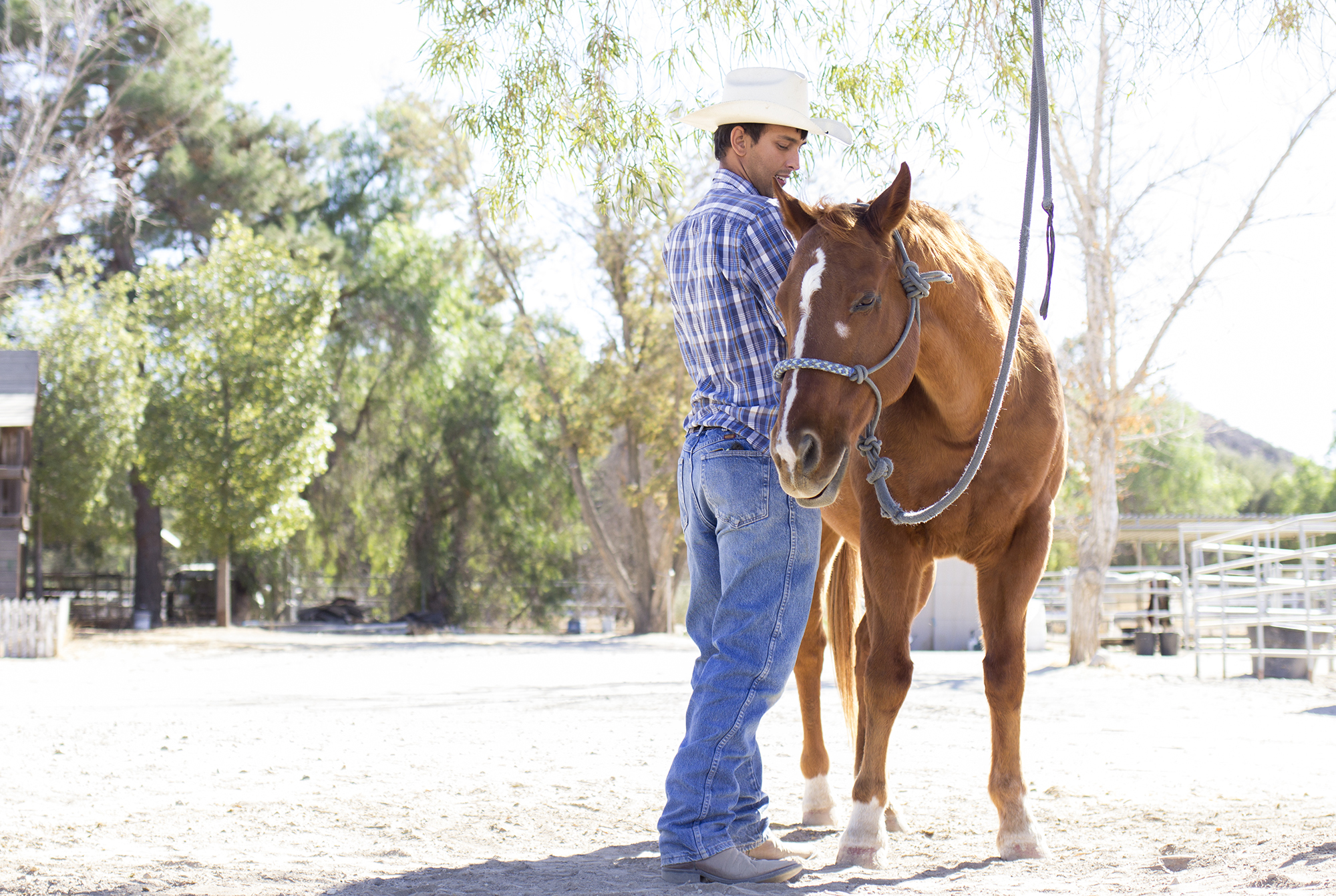 Student works towards helping sick horses