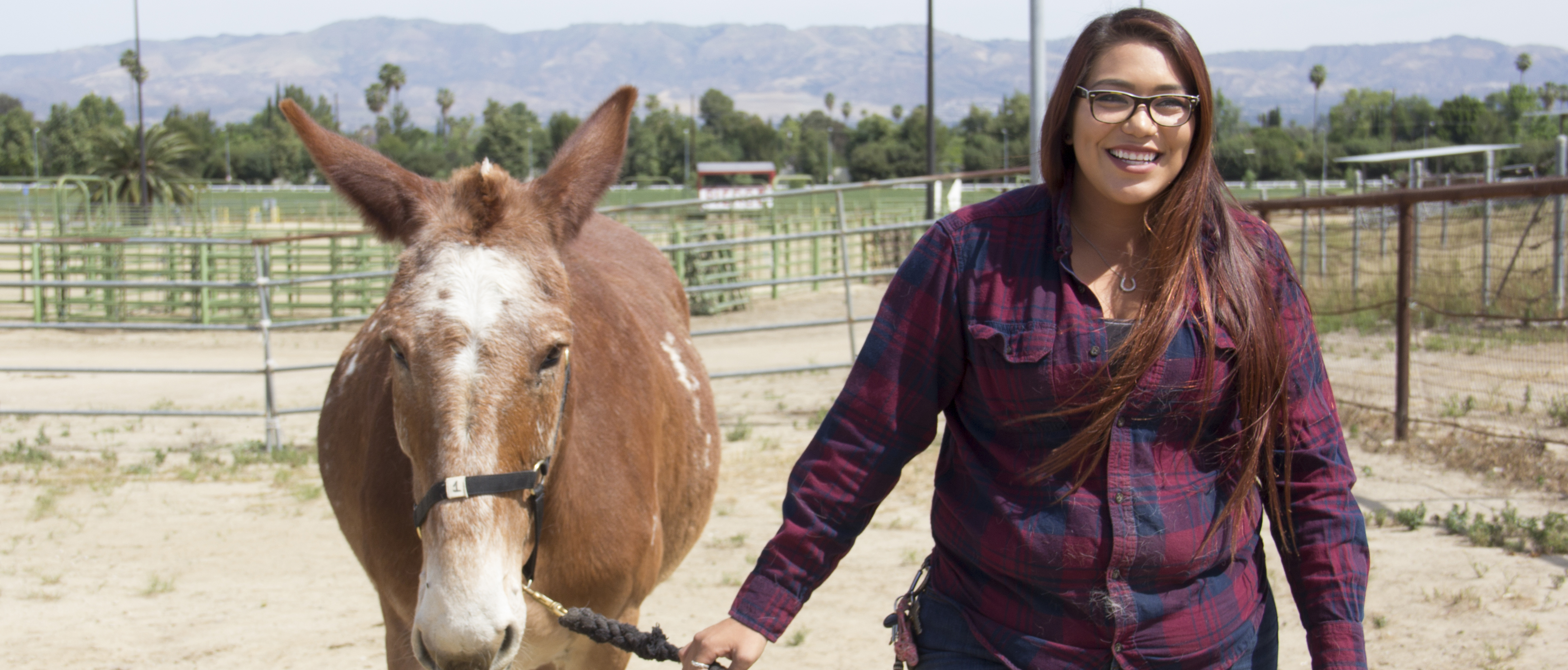 Equine Science student takes her love for horses to the racetracks