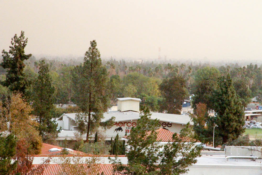 Sylmar fire forces evacuation, large animals are accepted at Equestrians Center