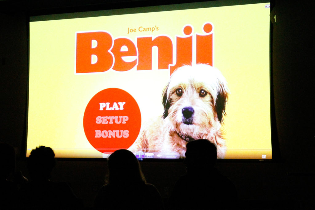 for-the-love-of-dog-film-festival-screening-the-roundup