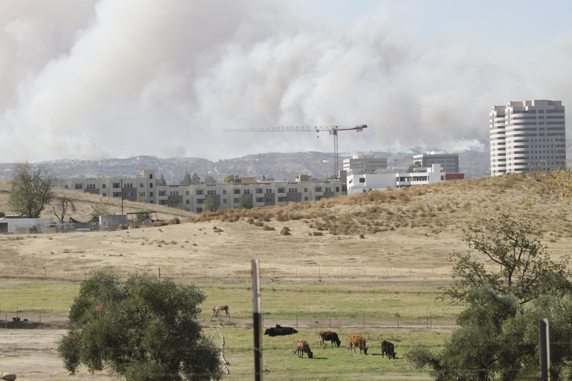 Woolsey fire update