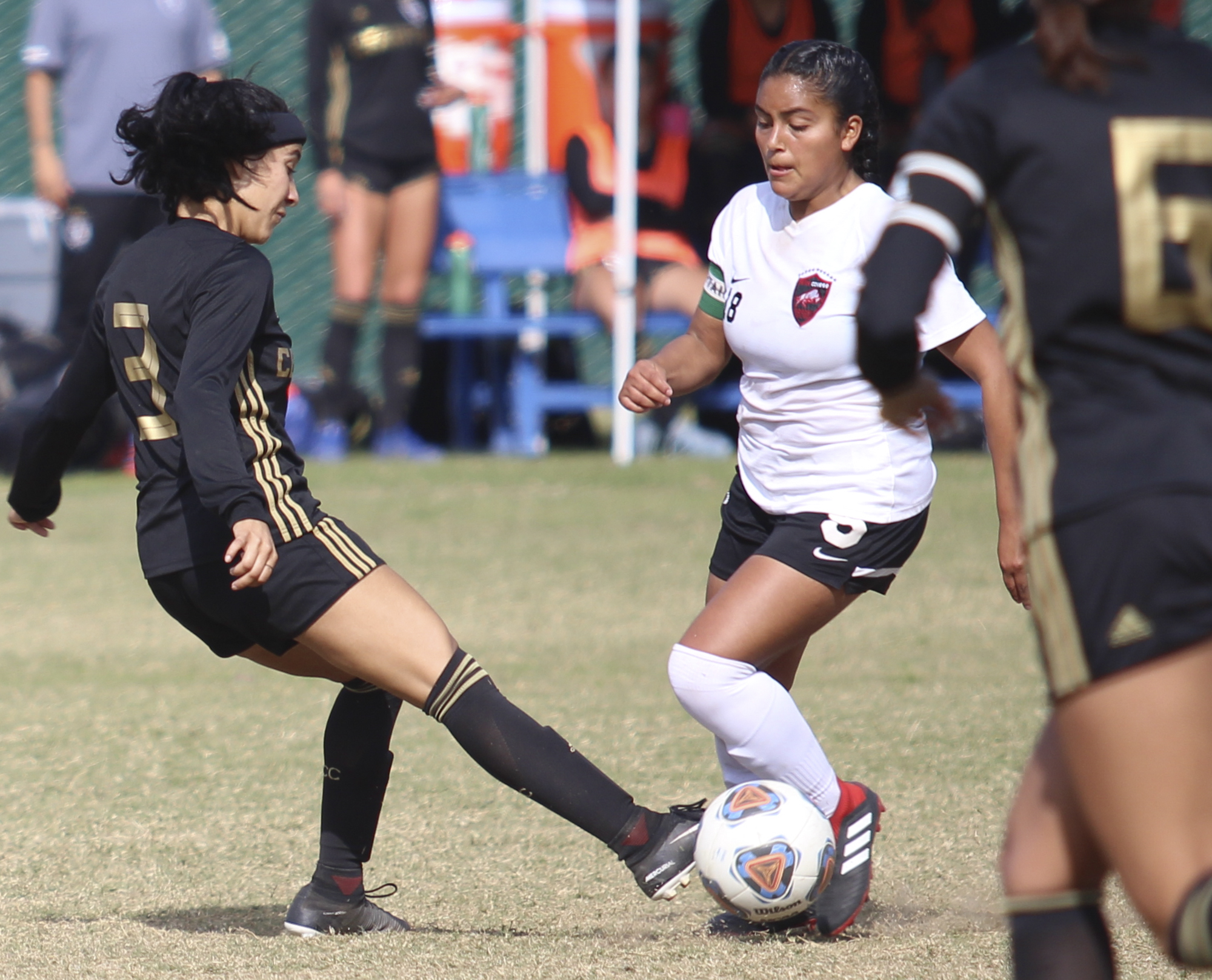 Season Review: Brahmas soccer