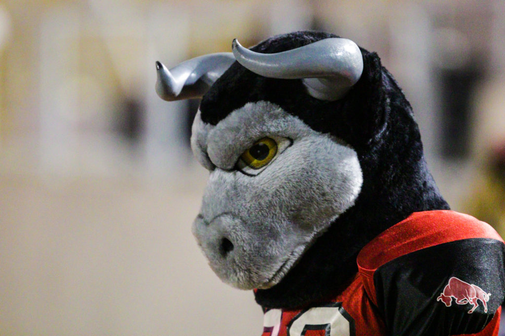 Bull mascot in football jersey