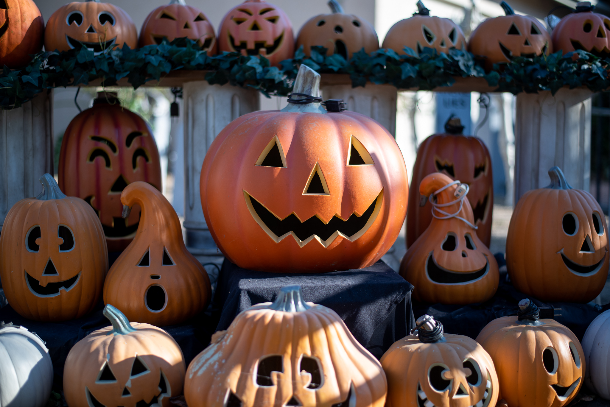 Streetbeat: What are your Halloween plans?