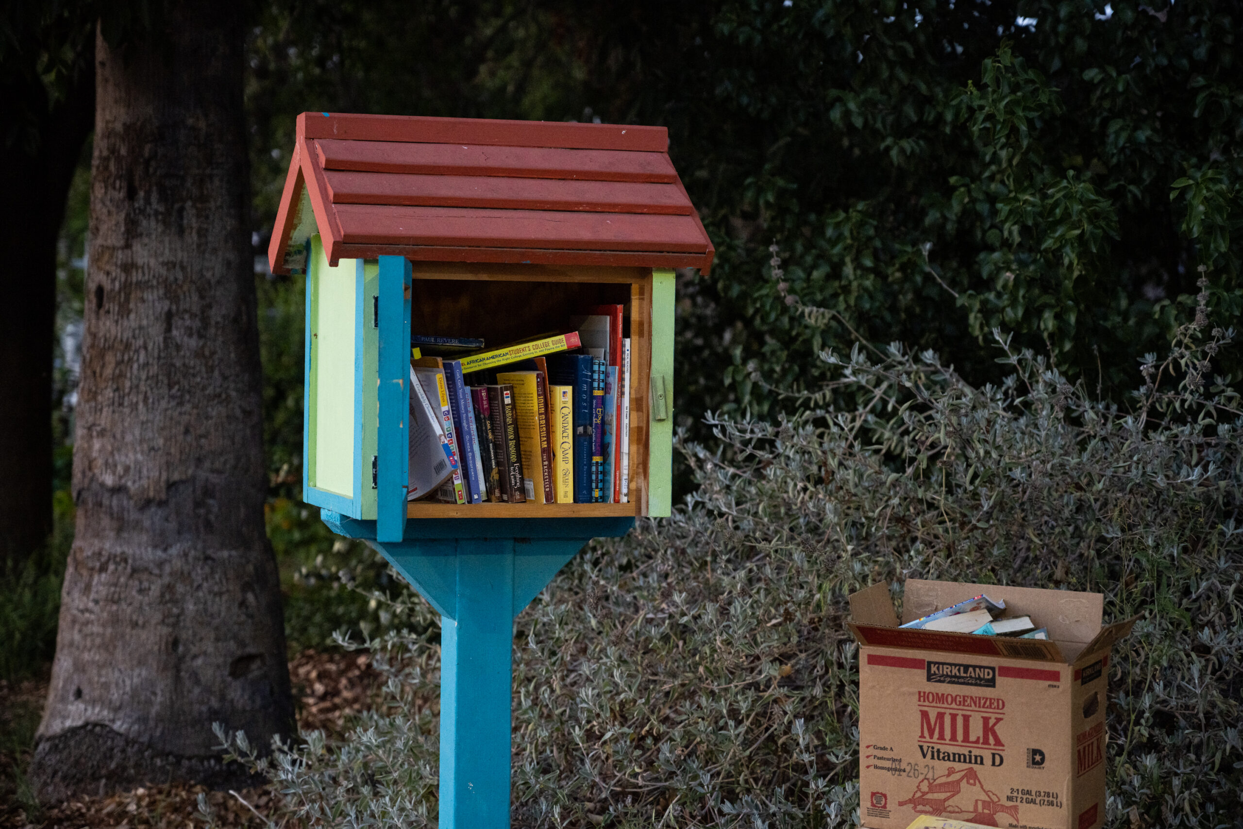 Little Free libraries