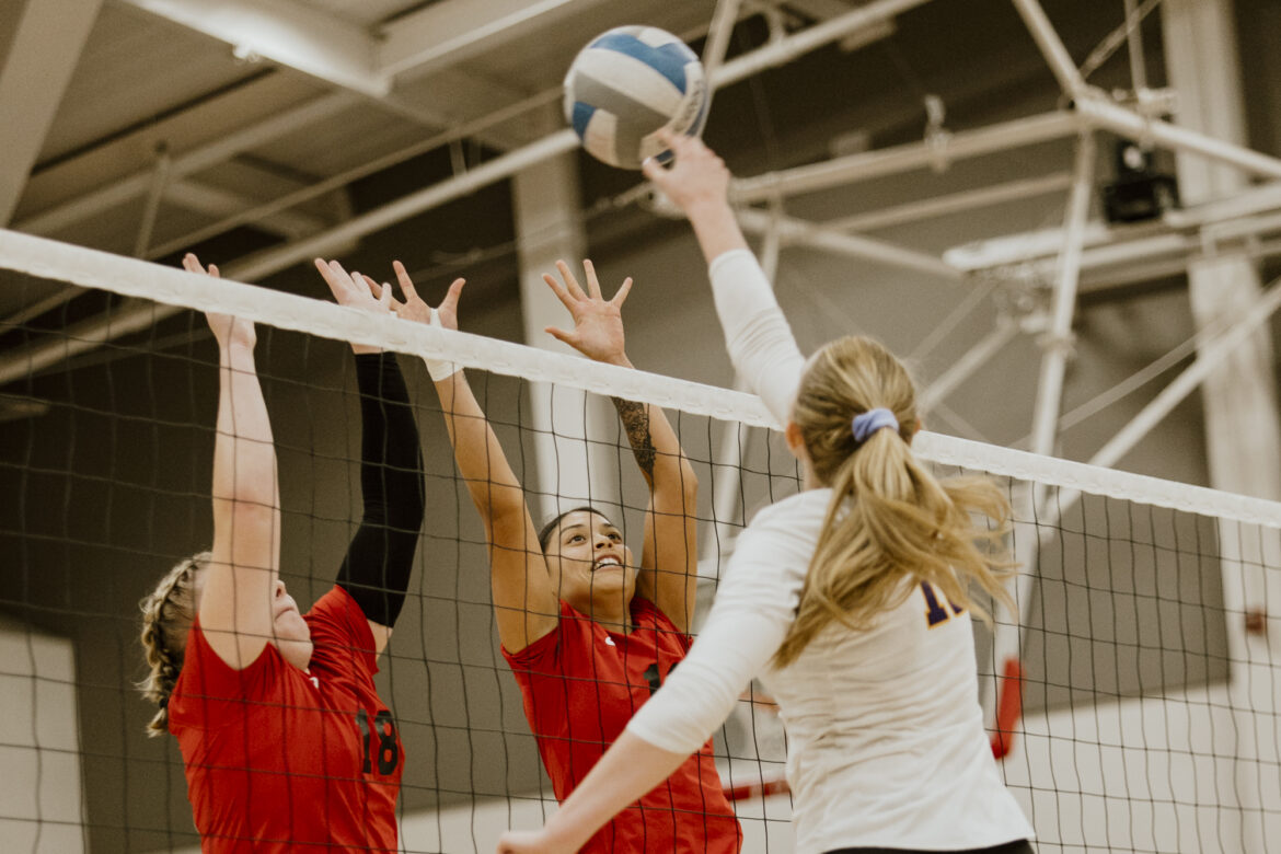 BRIEF: Volleyball drops game to the Cougars