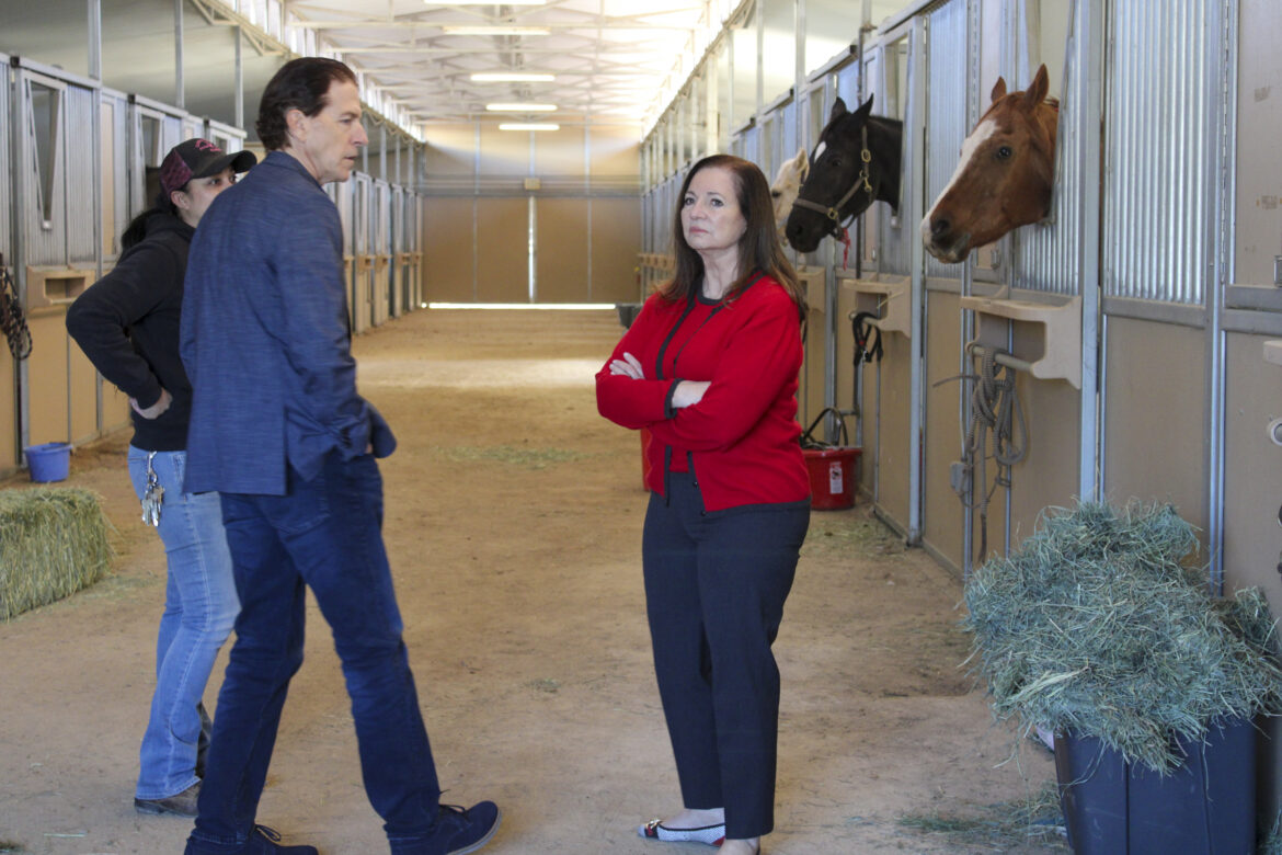 19 horses housed at Pierce due to fire evacuations in Malibu