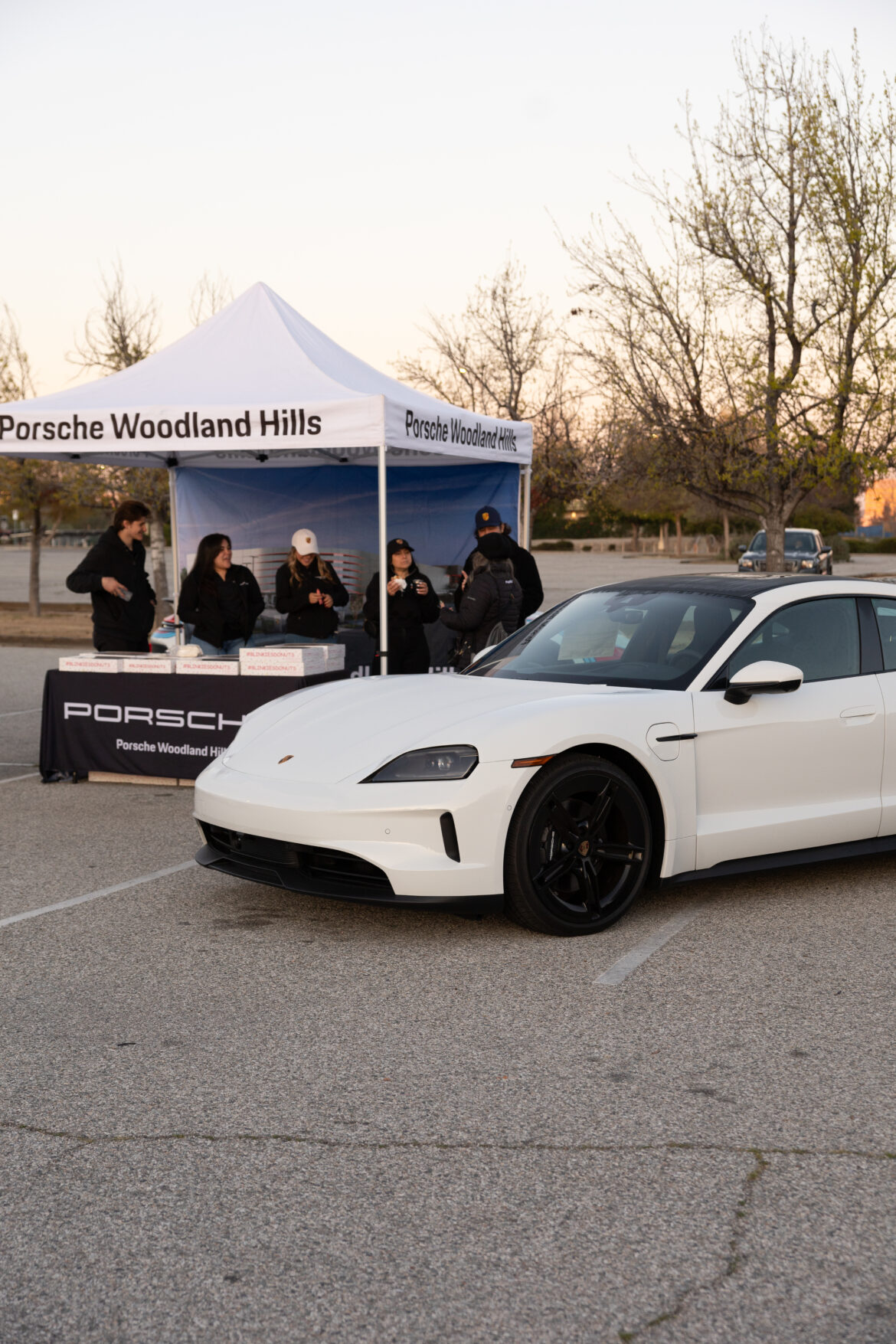 Porsche Engines roar in Lot 7